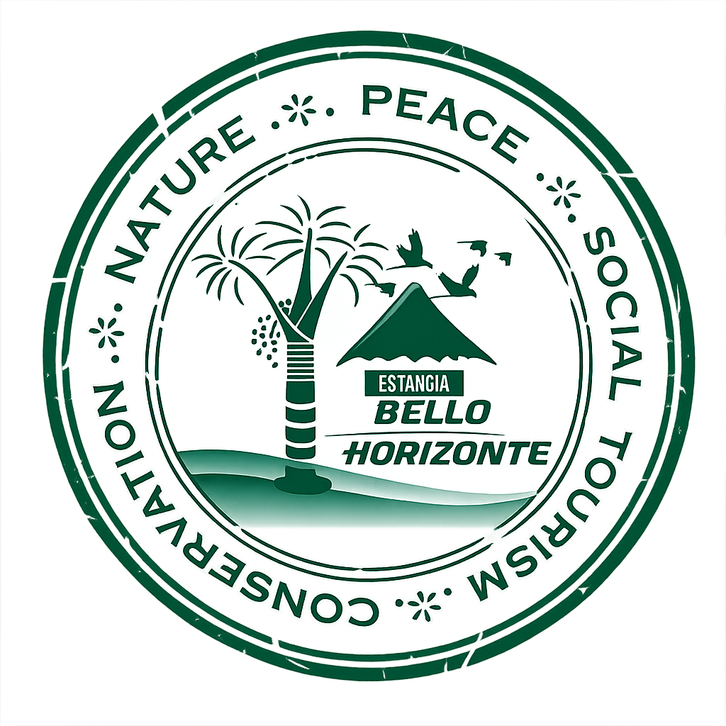 Extreme Sports Logo